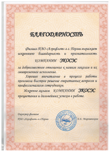 Отзыв Аэрофлот